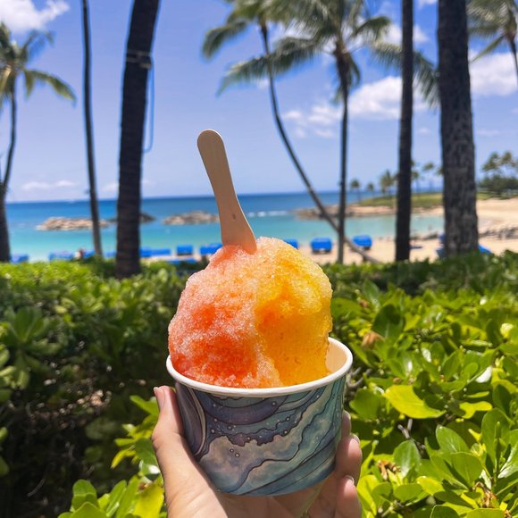 Meet your Posher, BeachySD - Picture 11 of 16